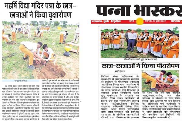 Plantation by the Students & Teachers.